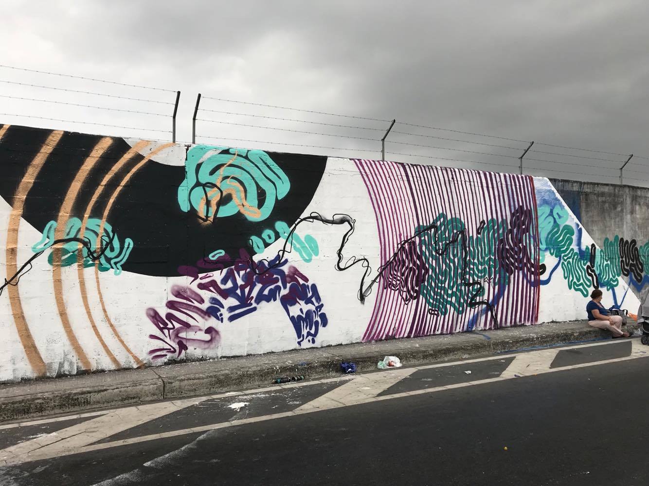 23770277_1640374552696215_780060225_o